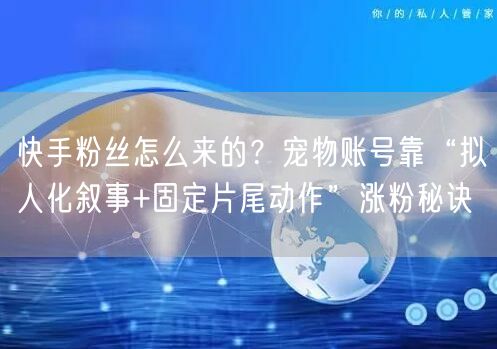 快手粉丝怎么来的?宠物账号靠“拟人化叙事+固定片尾动作”涨粉秘诀