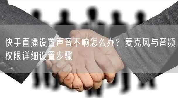 快手直播设置声音不响怎么办?麦克风与音频权限详细设置步骤