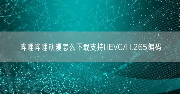 哔哩哔哩动漫怎么下载支持HEVC/H.265编码