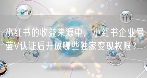 小红书的收益来源中，小红书企业号蓝V认证后开放哪些独家变现权限？