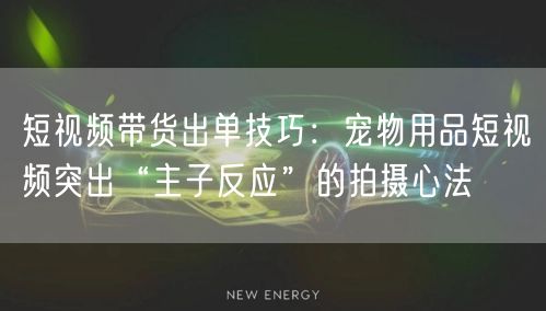 短视频带货出单技巧：宠物用品短视频突出“主子反应”的拍摄心法