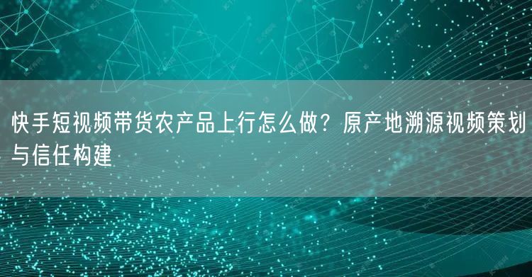 快手短视频带货农